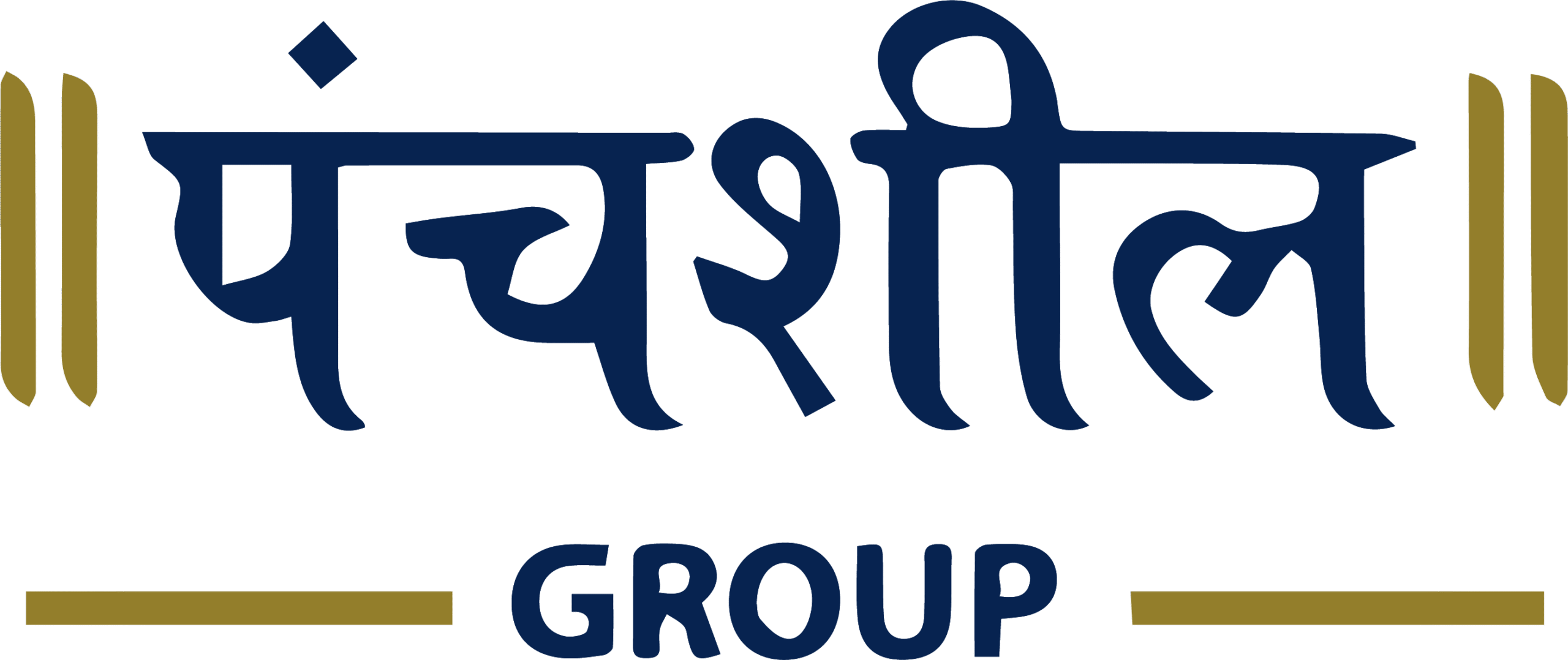 panshil-blue-logo